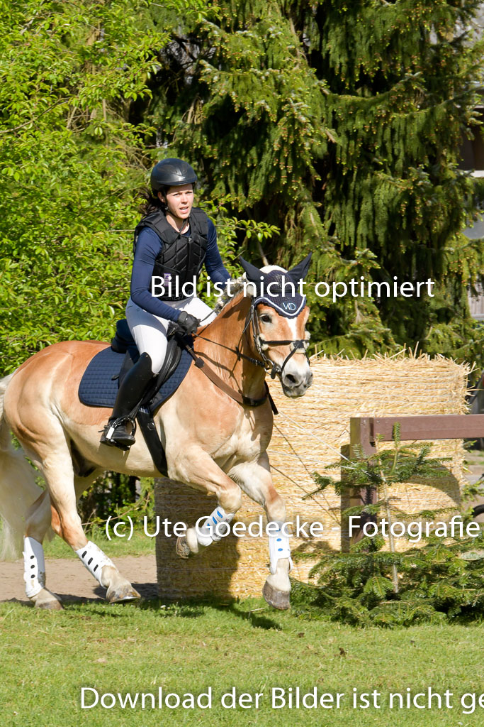 HH - Harburg  Vielseitigkeitsturnier  14.5.22 | 14052022 Gelände 2 Abt _303 