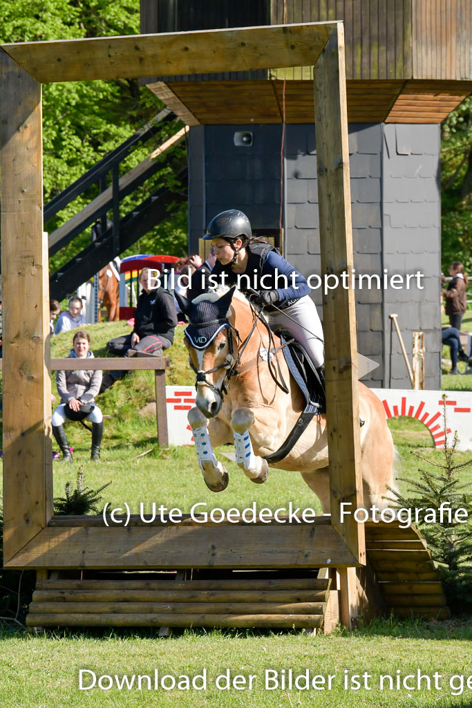 HH - Harburg  Vielseitigkeitsturnier  14.5.22 | 14052022 Gelände 2 Abt _304 