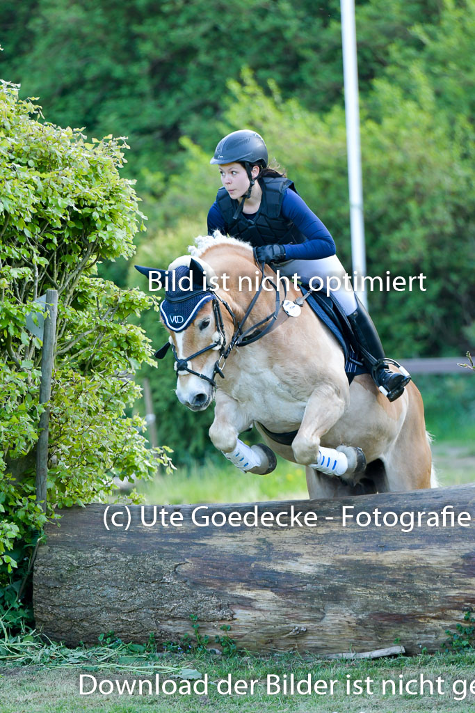 HH - Harburg  Vielseitigkeitsturnier  14.5.22 | 14052022 Gelände 2 Abt _306 