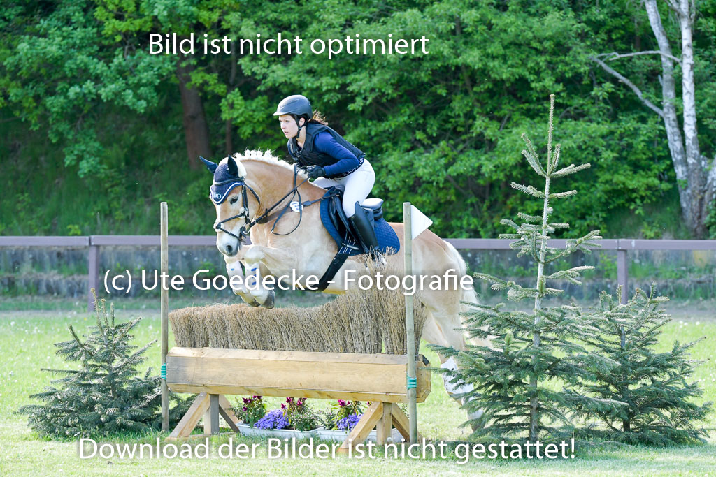 HH - Harburg  Vielseitigkeitsturnier  14.5.22 | 14052022 Gelände 2 Abt _309 