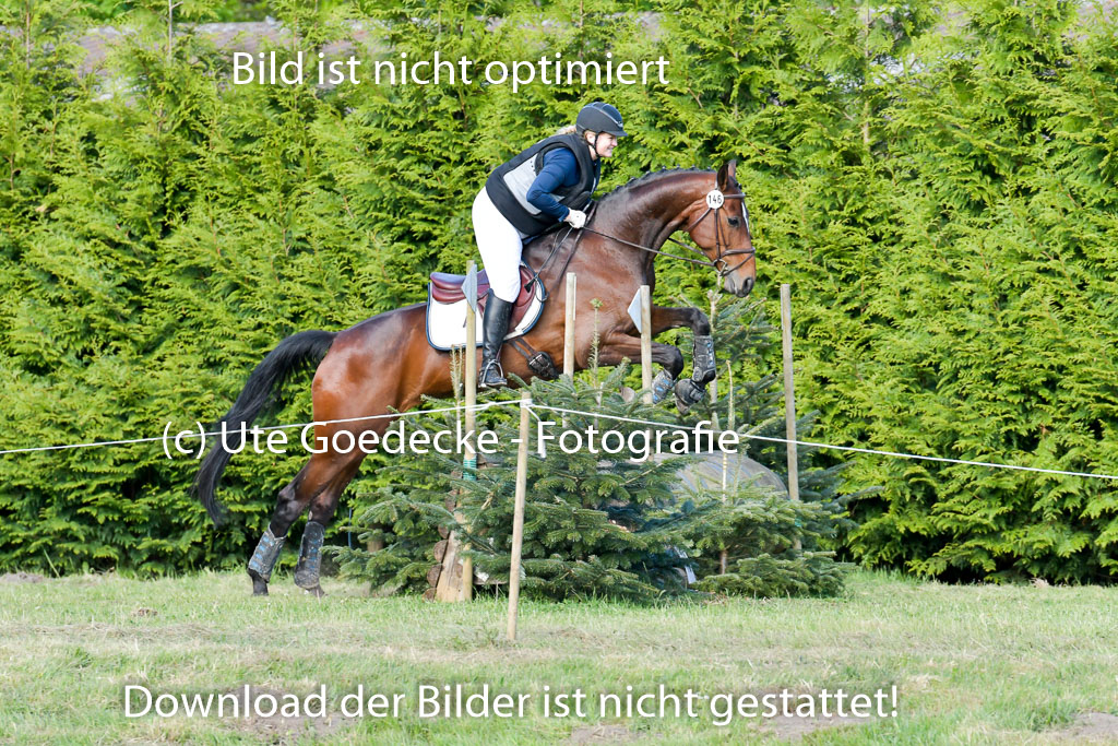 HH - Harburg  Vielseitigkeitsturnier  14.5.22 | 14052022 Gelände 2 Abt _311 