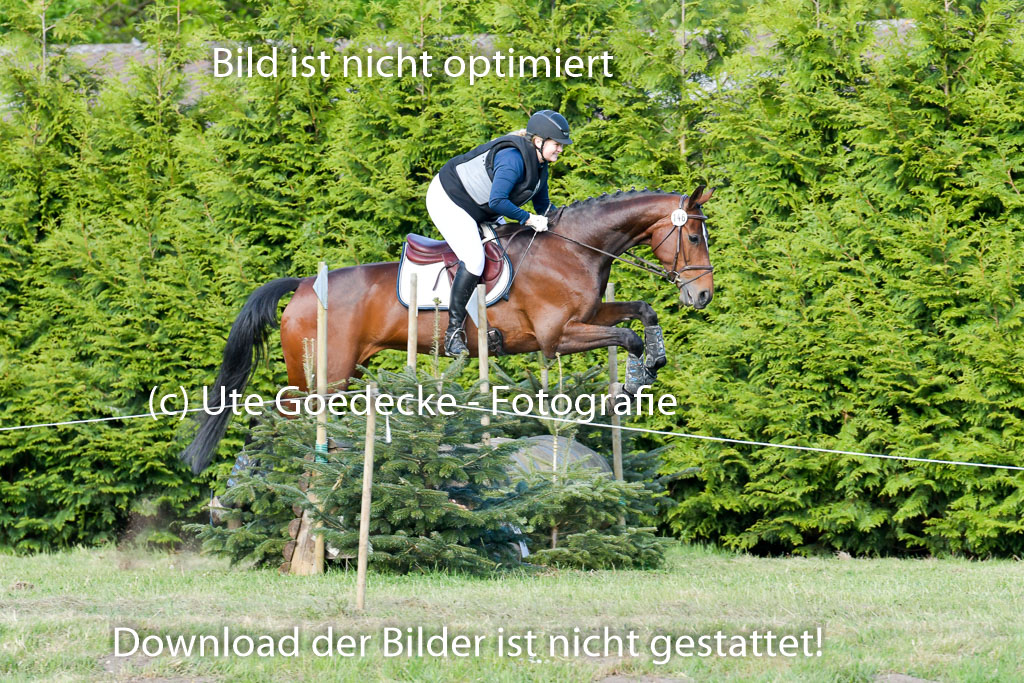HH - Harburg  Vielseitigkeitsturnier  14.5.22 | 14052022 Gelände 2 Abt _312 