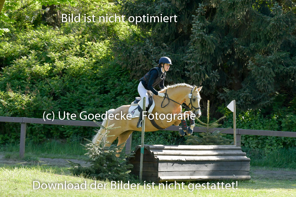 HH - Harburg  Vielseitigkeitsturnier  14.5.22 | 14052022 Gelände 2 Abt _319 