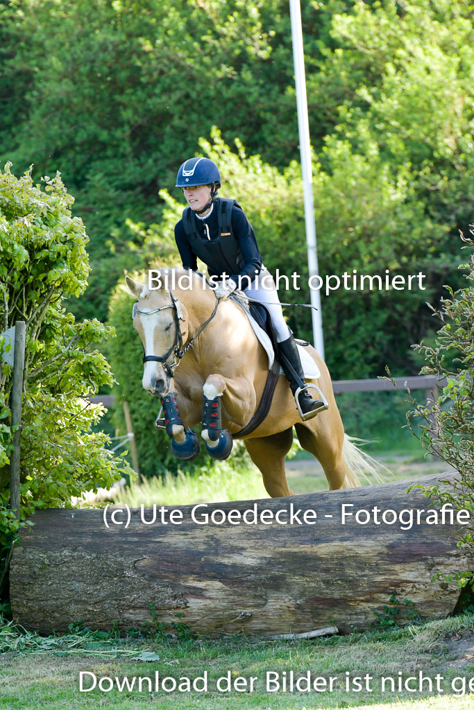 HH - Harburg  Vielseitigkeitsturnier  14.5.22 | 14052022 Gelände 2 Abt _323 