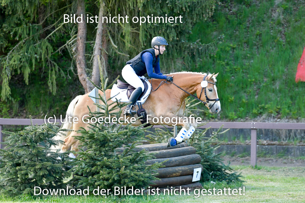 HH - Harburg  Vielseitigkeitsturnier  14.5.22 | 14052022 Gelände 2 Abt _346 