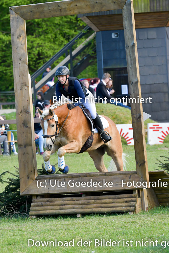 HH - Harburg  Vielseitigkeitsturnier  14.5.22 | 14052022 Gelände 2 Abt _351 