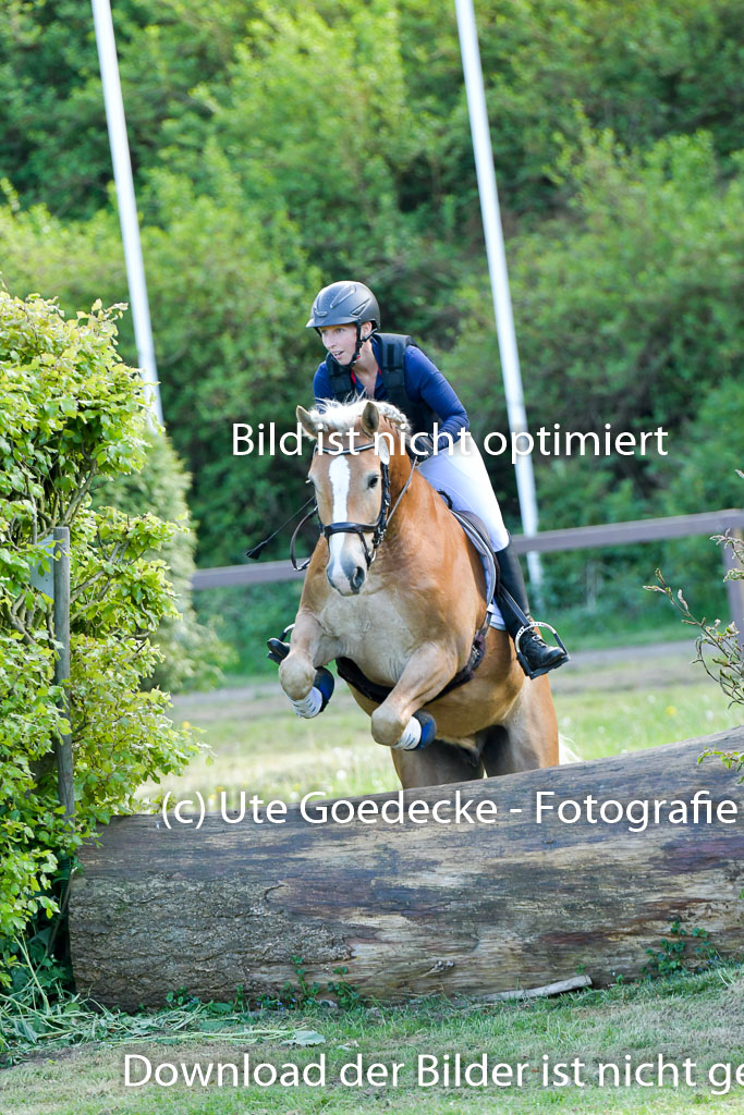 HH - Harburg  Vielseitigkeitsturnier  14.5.22 | 14052022 Gelände 2 Abt _352 
