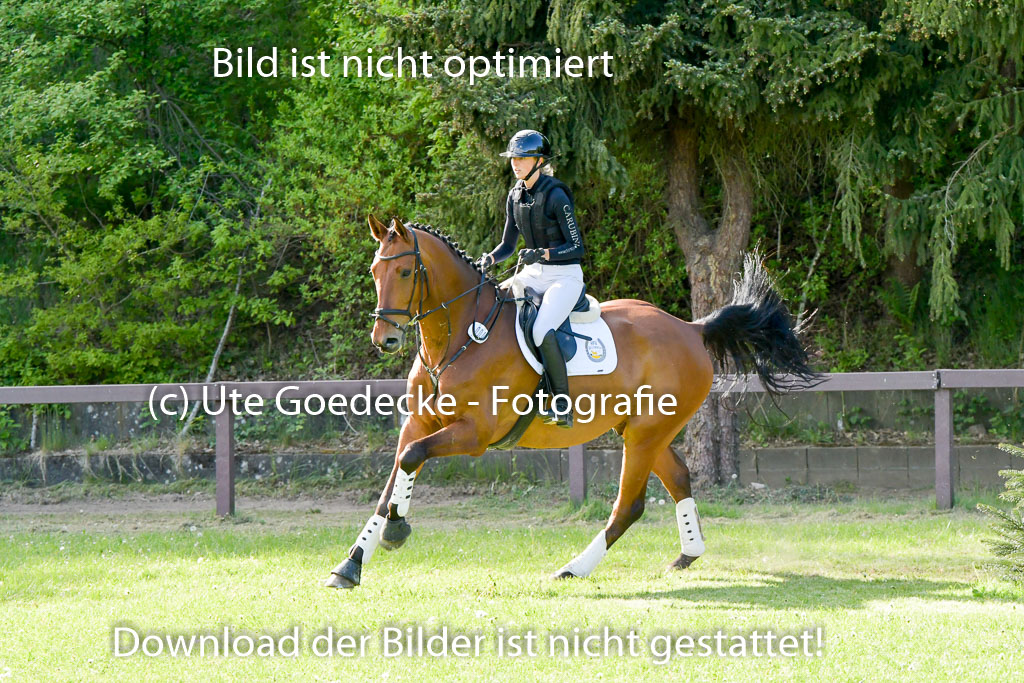 HH - Harburg  Vielseitigkeitsturnier  14.5.22 | 14052022 Gelände 2 Abt _368 