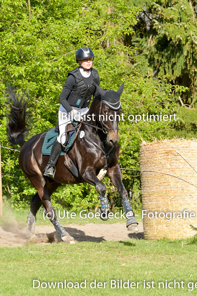 HH - Harburg  Vielseitigkeitsturnier  14.5.22 | 14052022 Gelände 2 Abt _375 