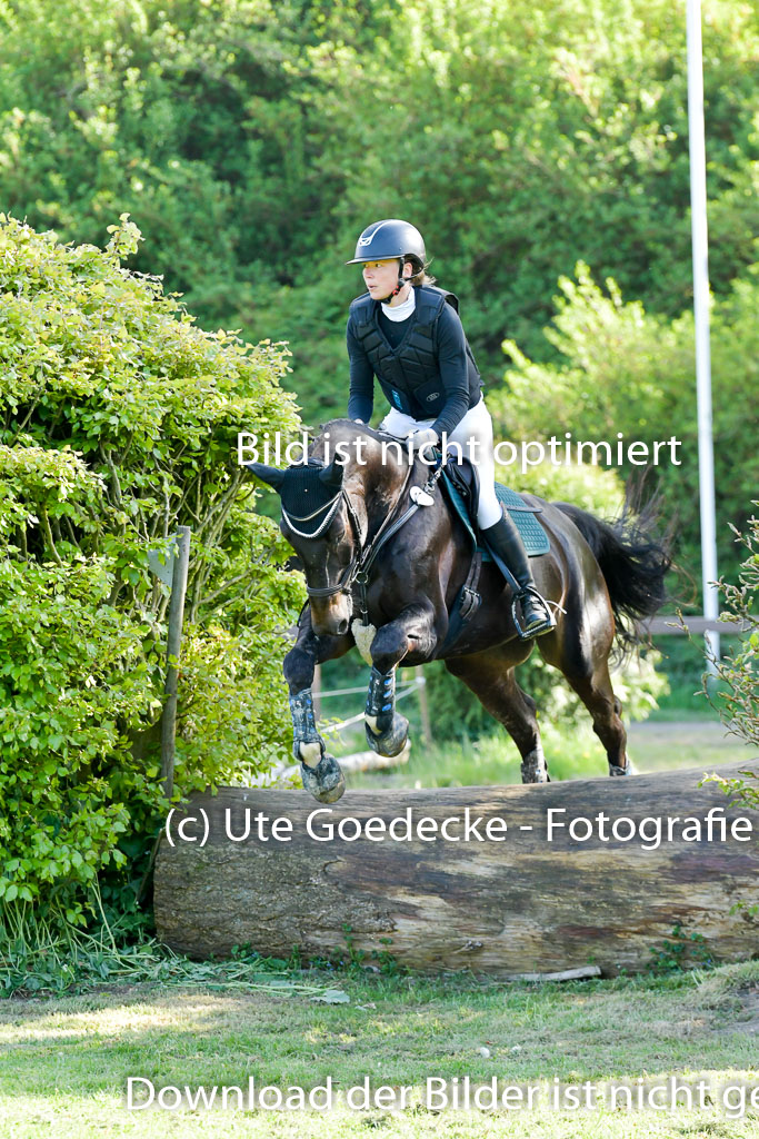 HH - Harburg  Vielseitigkeitsturnier  14.5.22 | 14052022 Gelände 2 Abt _379 