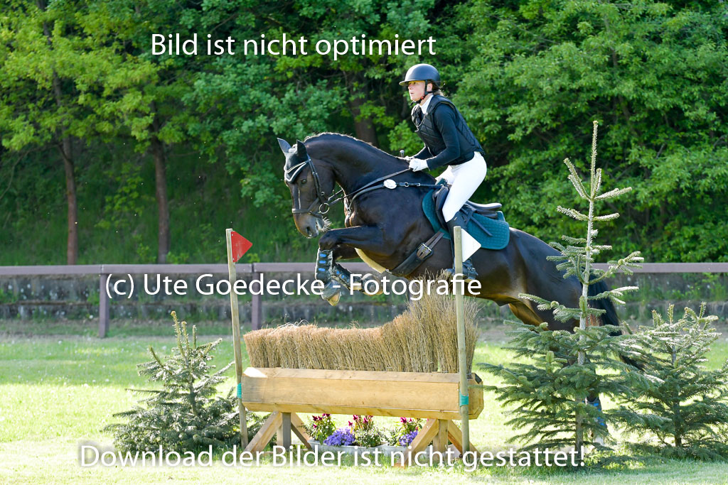 HH - Harburg  Vielseitigkeitsturnier  14.5.22 | 14052022 Gelände 2 Abt _381 