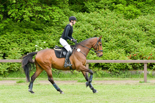 HH - Harburg  Vielseitigkeitsturnier  14.5.22 | 14052022 Gelände 2 Abt _002 