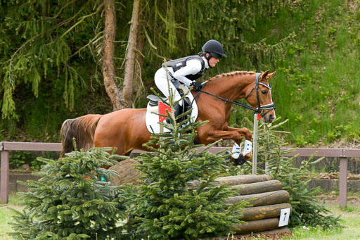 HH - Harburg  Vielseitigkeitsturnier  14.5.22 | 14052022 Gelände 2 Abt _077 