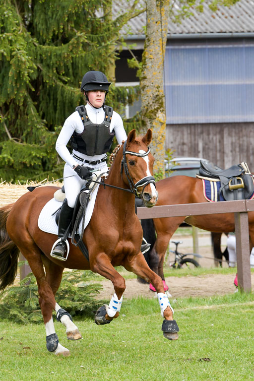 HH - Harburg  Vielseitigkeitsturnier  14.5.22 | 14052022 Gelände 2 Abt _078 