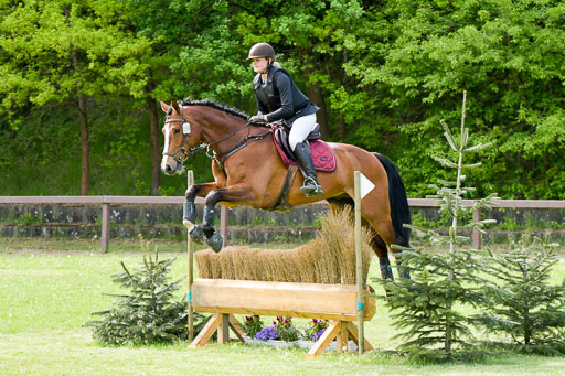 HH - Harburg  Vielseitigkeitsturnier  14.5.22 | 14052022 Gelände 2 Abt _172 