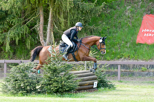 HH - Harburg  Vielseitigkeitsturnier  14.5.22 | 14052022 Gelände 2 Abt _191 