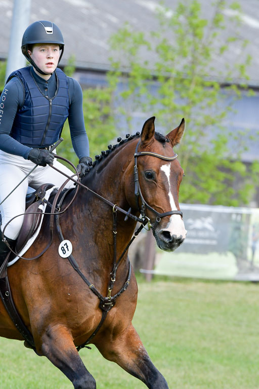 HH - Harburg  Vielseitigkeitsturnier  14.5.22 | 14052022 Gelände 2 Abt _204 