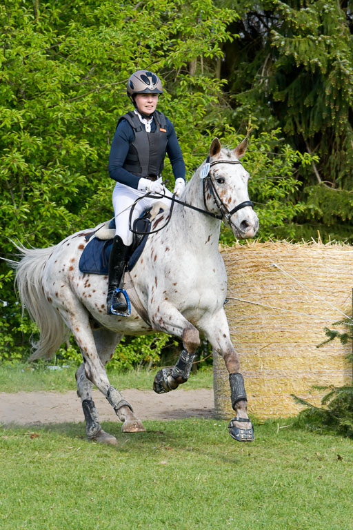 HH - Harburg  Vielseitigkeitsturnier  14.5.22 | 14052022 Gelände 2 Abt _240 