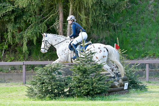 HH - Harburg  Vielseitigkeitsturnier  14.5.22 | 14052022 Gelände 2 Abt _241 