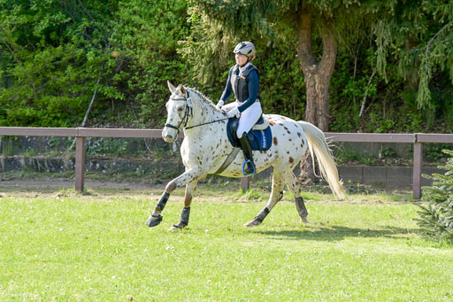 HH - Harburg  Vielseitigkeitsturnier  14.5.22 | 14052022 Gelände 2 Abt _247 