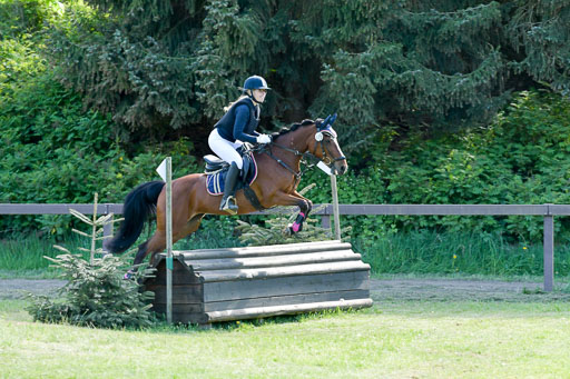 HH - Harburg  Vielseitigkeitsturnier  14.5.22 | 14052022 Gelände 2 Abt _250 