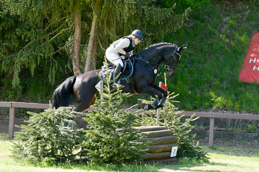 HH - Harburg  Vielseitigkeitsturnier  14.5.22 | 14052022 Gelände 2 Abt _262 