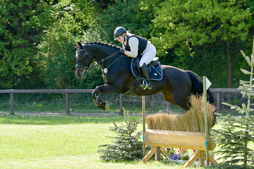 HH - Harburg  Vielseitigkeitsturnier  14.5.22 | 14052022 Gelände 2 Abt _270 