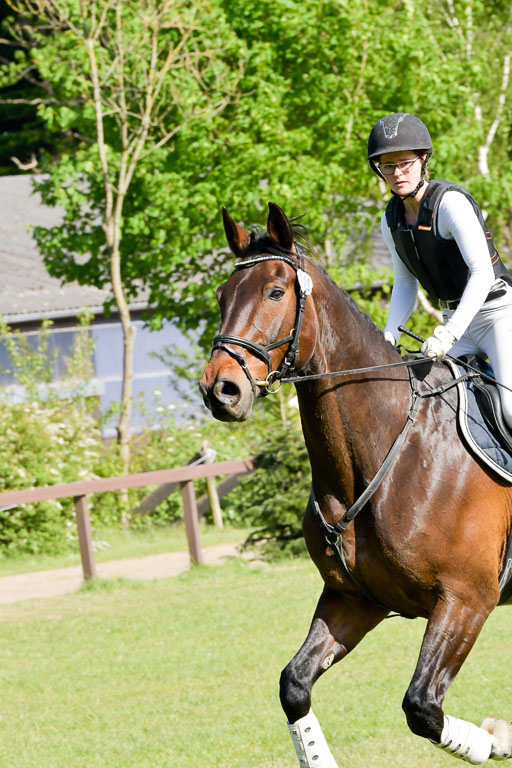 HH - Harburg  Vielseitigkeitsturnier  14.5.22 | 14052022 Gelände 2 Abt _275 