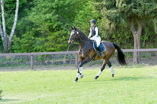 HH - Harburg  Vielseitigkeitsturnier  14.5.22 | 14052022 Gelände 2 Abt _279 