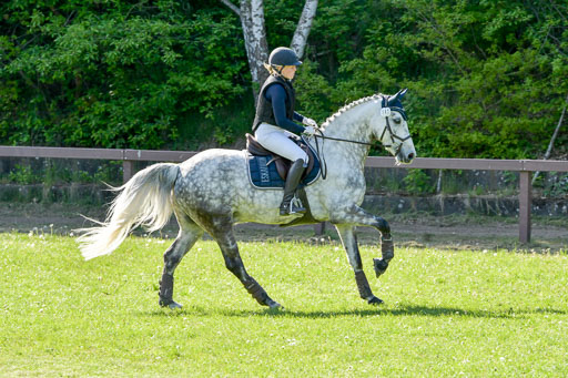 HH - Harburg  Vielseitigkeitsturnier  14.5.22 | 14052022 Gelände 2 Abt _290 