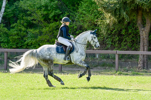 HH - Harburg  Vielseitigkeitsturnier  14.5.22 | 14052022 Gelände 2 Abt _291 