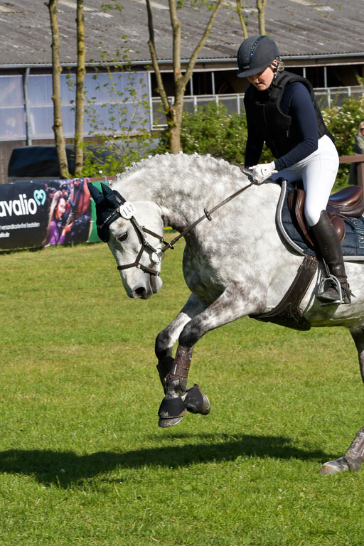 HH - Harburg  Vielseitigkeitsturnier  14.5.22 | 14052022 Gelände 2 Abt _294 