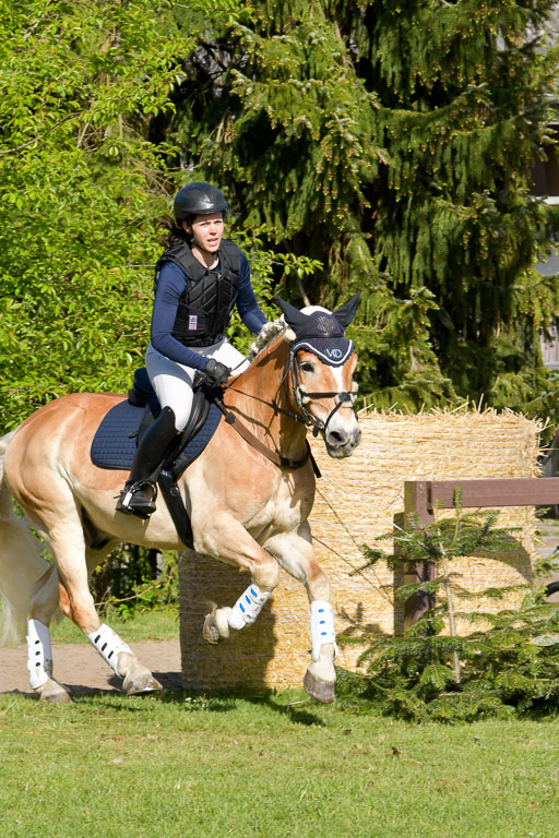 HH - Harburg  Vielseitigkeitsturnier  14.5.22 | 14052022 Gelände 2 Abt _303 