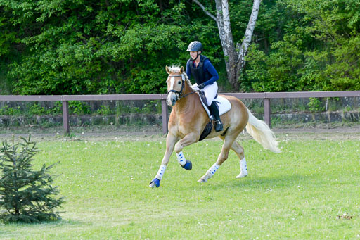 HH - Harburg  Vielseitigkeitsturnier  14.5.22 | 14052022 Gelände 2 Abt _355 