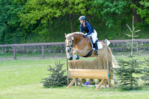 HH - Harburg  Vielseitigkeitsturnier  14.5.22 | 14052022 Gelände 2 Abt _356 