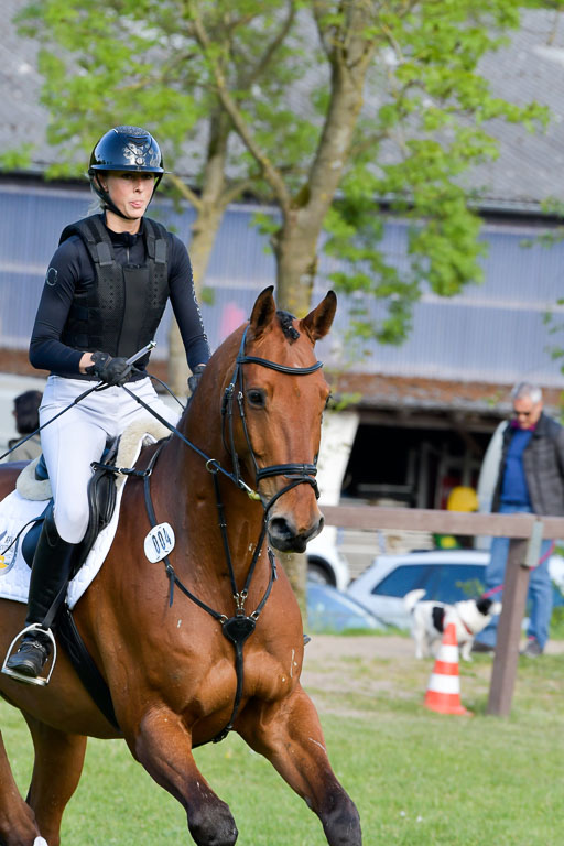 HH - Harburg  Vielseitigkeitsturnier  14.5.22 | 14052022 Gelände 2 Abt _361 