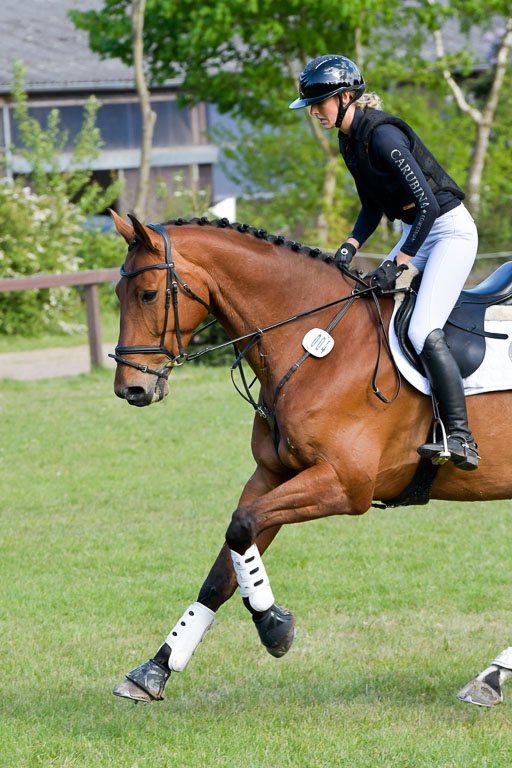 HH - Harburg  Vielseitigkeitsturnier  14.5.22 | 14052022 Gelände 2 Abt _365 