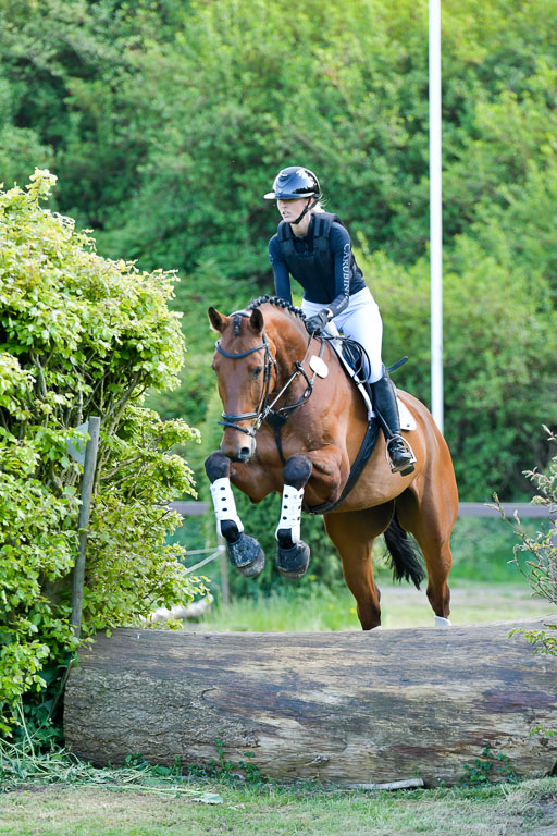 HH - Harburg  Vielseitigkeitsturnier  14.5.22 | 14052022 Gelände 2 Abt _367 