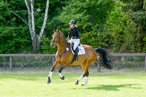 HH - Harburg  Vielseitigkeitsturnier  14.5.22 | 14052022 Gelände 2 Abt _369 