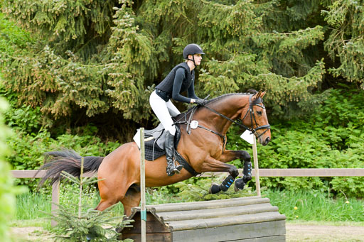 HH - Harburg  Vielseitigkeitsturnier  14.5.22 | 14052022 Gelände 2 Abt 