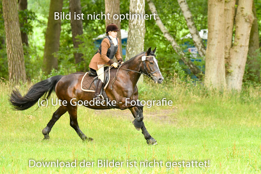 Mechtersen 09.07.2022 | 09072022 Hunterklasse _032 