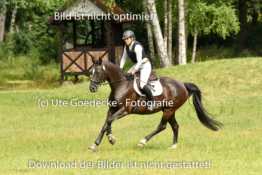 Mechtersen 09.07.2022 | 09072022 Hunterklasse _078 