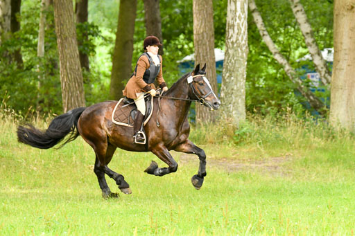 Mechtersen 09.07.2022 | 09072022 Hunterklasse _031 