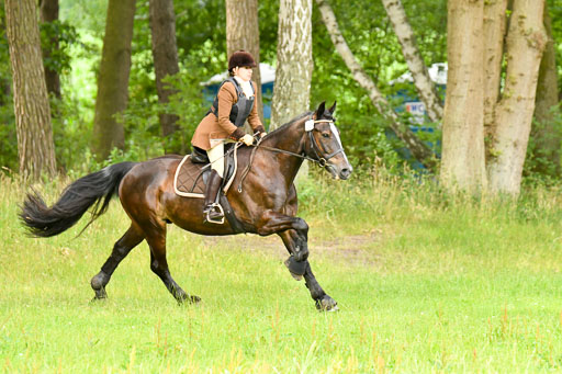 Mechtersen 09.07.2022 | 09072022 Hunterklasse _032 