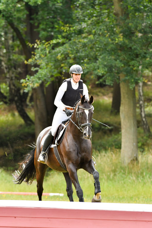 Mechtersen 09.07.2022 | 09072022 Hunterklasse _087 