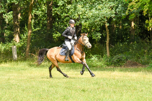 Mechtersen 09.07.2022 | 09072022 Hunterklasse _094 