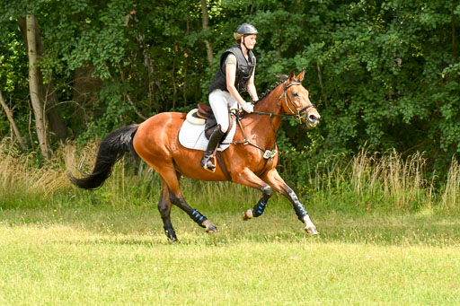 Mechtersen 09.07.2022 | 09072022 Hunterklasse _113 