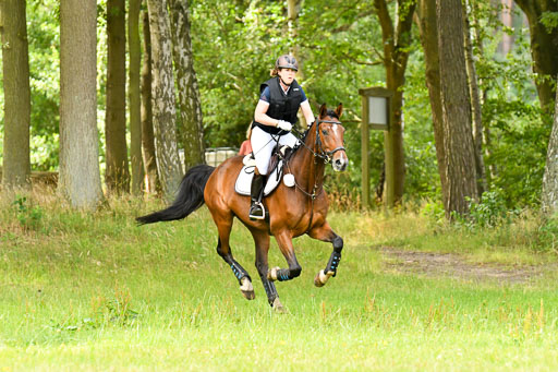 Mechtersen 09.07.2022 | 09072022 Hunterklasse _126 