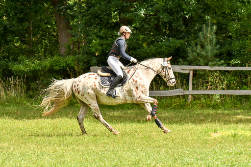 Mechtersen 09.07.2022 | 09072022 Hunterklasse _149 