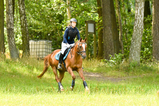 Mechtersen 09.07.2022 | 09072022 Hunterklasse _155 